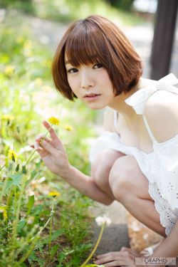 樱兰高校男公关部图片